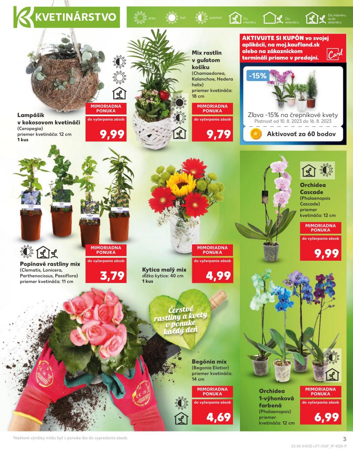 Kaufland