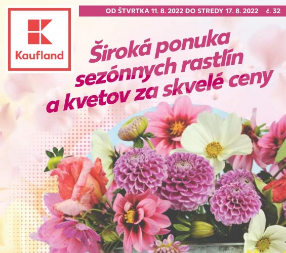 kaufland - leták kvety od 11.08.2022