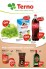 Terno