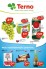 Terno